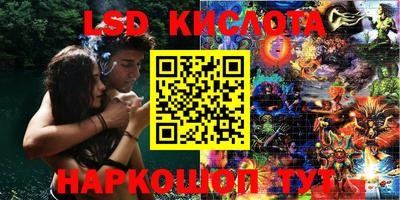 СК Ноябрьск