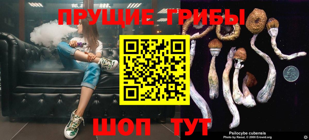 Галлюциногенные грибы мицелий  Галлюциногенные грибы GOLDEN TEACHER  наркотики  Вход с VPN  Ижевск 